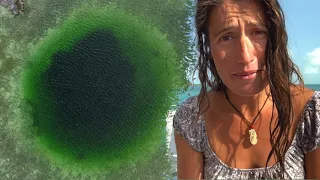 3 Months in the Bahamas is not enough [EP 187]