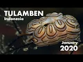 Download Lagu 105 Nudibranchs \u0026 Seas Slugs from Tulamben, Indonesia