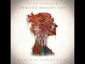 Denizde Karartı Var (Kadının Türküsü II) - Öykü Gürman