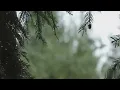 Download Lagu Nasheed - Amantu Billah (Slowed + Reverb) [Lyrics in desc] #nasheed