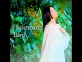 Humming Bird