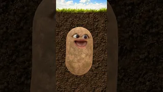 قول بابا ماما Shorts 