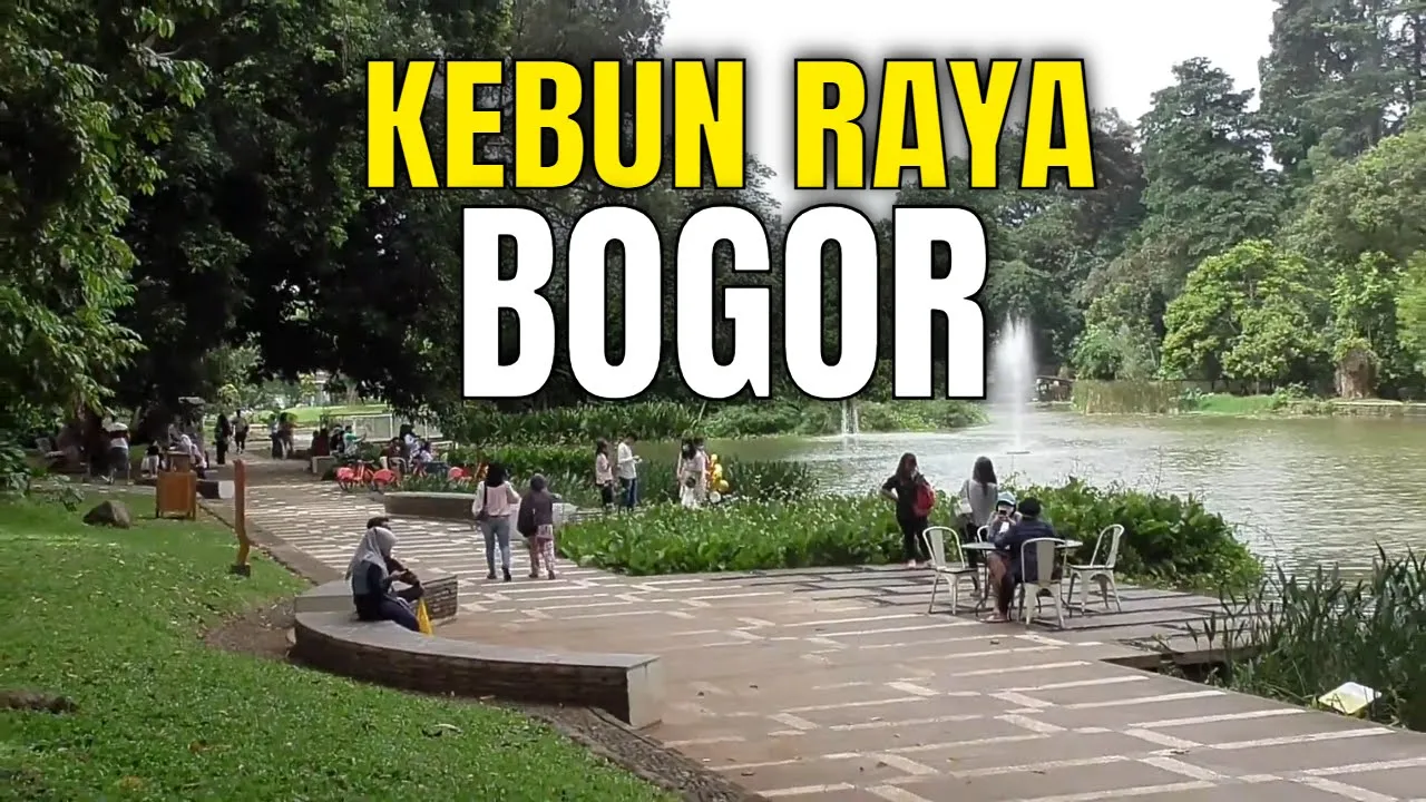 Lagi viral di Aceh!!.. Sopir truk di hadang oleh tiga harimau Sumatera