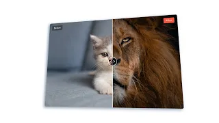 Image Comparison Slider HTML CSS and JavaScript