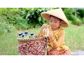 Download Lagu what if little princess shinta jadi tukang jamu - parody video