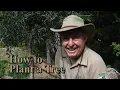 How to Properly Plant a Tree - Tree Tips