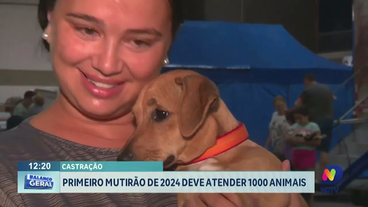 Primeiro mutirão de castração de 2024 deve atender mil animais