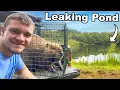 Download Lagu I Relocated Beavers into an Abandoned Pond To Fix It!