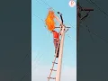 Download Lagu Electricity lineman #shorts #electricity #youtube #viral 😂