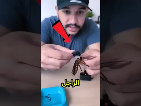 الراجل ركب كاميرا على صرصار…لكنه دخل ركن ضلمة واكتشف حاجة خطيرة😨🪳💥