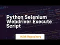 python selenium webdriver execute script