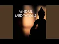 Tranquil Wellness Center Sounds