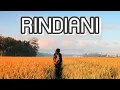 Lagu RINDIANI || SLAM (LIRIK VIDEO)