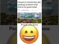 Download Lagu Flowers are blooming in Antartica 😥 #chamberofreflection #antartica #capcut #edit #scpfoundation