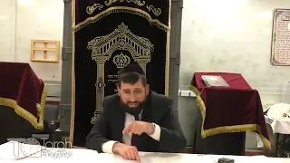 Balak The Most Unique Parsha In The Torah The Great Revelation Of The GRA On Tikunei Zohar 