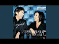Download Lagu Auf den Dächern von Berlin (Radio Edit)