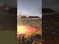 Download Lagu Persebaya sampai mati = Bonek bernyanyi untuk miko