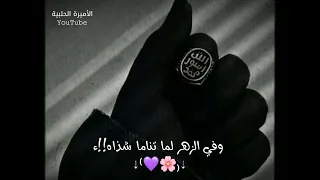 سريت بروحي فيا سعد روحي    حالات واتس اب عن رسول الله صلى الله عليه وسلم وسلم   أناشيد بدون موسيقى   دندنها