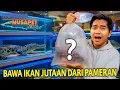 Download Lagu BAWA IKAN JUTAAN RUPIAH DARI PAMERAN IKAN TERBESAR! LANGSUNG KITA BUNGKUS BAWA KE RUMAH! NUSATIC!