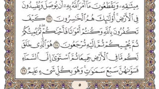 سورة البقرة مكتوبة محمد أيوب 