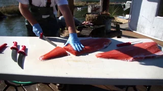 Bubba s Stiff Flex and Tapered Flex vs King Salmon Oregon Fishing Guide s Todd Hannah Review