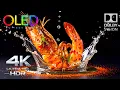 The Best 4K R 60FPS OLED Demo Ever Dolby Vision OLED Display Test TV