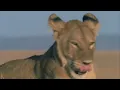 World of the Wild | Episode 2: Africa's Savannah | Free Documentary Nature