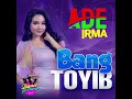 Download Lagu Ade Irma - Bang Toyib