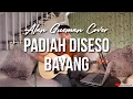 Lagu PADIAH DISESO BAYANG - BOY SHANDY - ( LIVE AKUSTIK COVER BY ALAN GUSMAN )