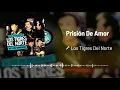 Los Tigres Del Norte - Prisión De Amor (Live / Audio)