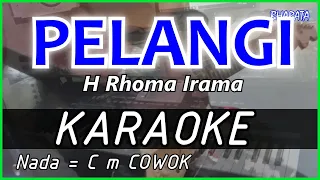 Download PELANGI - Rhoma irama - KARAOKE DANGDUT COVER Pa800 MP3