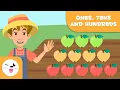 ONES TENS AND HUNDREDS - The Place Value of Numbers