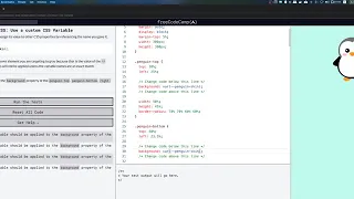 freeCodeCamp Use a custom CSS Variable