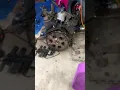How to V8 Swap A S10 TBI 4 3 to TBI 5 7 Swap S10 1992 S10 TBI V8