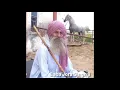 Lagu 👉All Horse Majhuke Bloodline video Baba Jora Singh ji👈Horse lover Punjab#shankiSardar#shankijatt