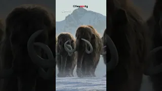 العصر الجليدى العظيم 