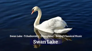 Swan Lake Tchaikovsky Complete NO Ads 