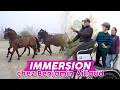 TRYING FEI DRIVING WITH 4 HORSES