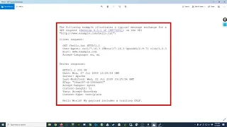 019 Raw HTTP request using Python