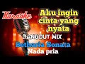 Download Lagu Aku ingin cinta yang nyata - Dangdut mix karaoke nada pria