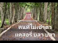 คนที่ไม่เข้าตา - Calories Blah Blah (แคลอรี่ บลา บลา)