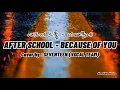[EASY LYRICS] BECAUSE OF YOU/너때문에 (After School) Acoustic ver.' (Seungkwan, DK, Joshua, Jeonghan)