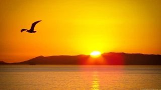 Awesome Time Lapse of Ocean Sunrise to Sunset 1080p