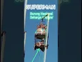 Download Lagu Burung perkutut Superman sang juara Nasional #burungperkututbangkok #perkutut #perkututlomba