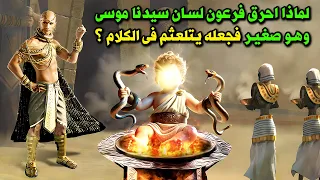 لم احرق فرعون لسان سيدنا موسي وهو صغير فجعله يتلعثم في الكلام   ولماذا صفع سيدنا موسي فرعون على وجهه دندنها