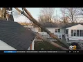 Suspected Tornado Scatters Trees Across Toms River
