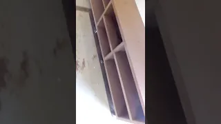                                              دندنها