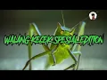 Download Lagu DAHSYAT!!!MASTERAN WALANG KECEK sesuai PENGALAMAN( Baca Di Deskripsi Ya ) Video Jeda 1 menit