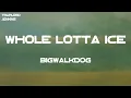 BigWalkDog - Whole Lotta Ice (feat. Lil Baby & Pooh Shiesty) (Lyrics)