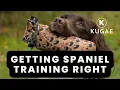 Understanding Spaniel Training And Why It Goes Wrong